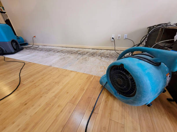 Professional Water Extraction technician working in Newton, KS